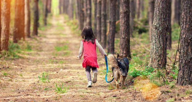 How-to-be-calm-and-assertive